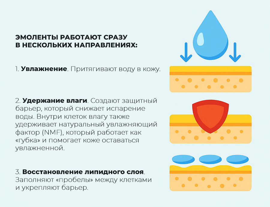 схема-работы-эмолентов